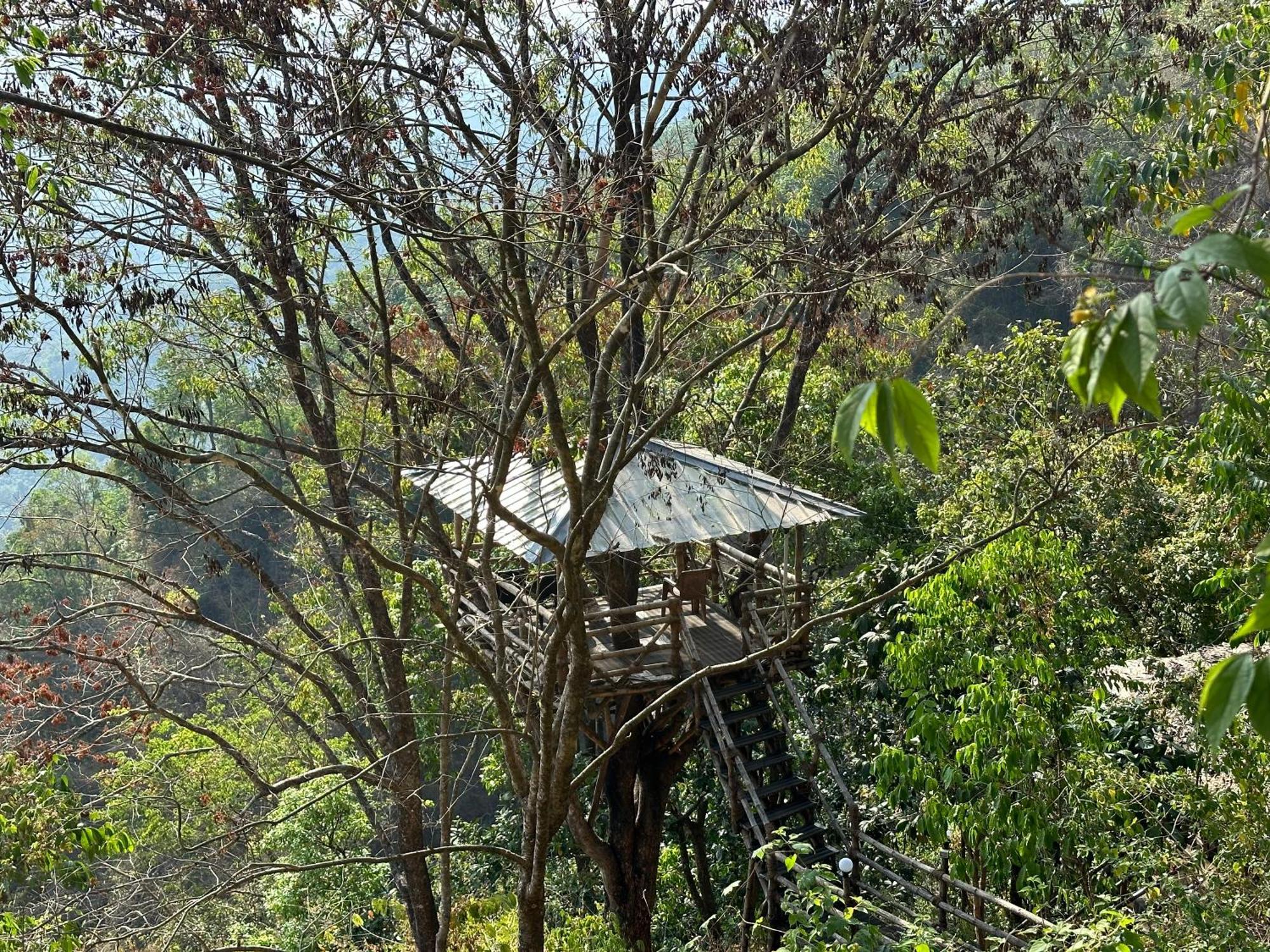 Sunset Valley Kerala Pool Resort - Serene Natural Forest Cottage Stay In Idukki With Sunrise & Sunset Panoramas, Natural Streams & Tranquil Summer Evenings Pīrmed Kültér fotó