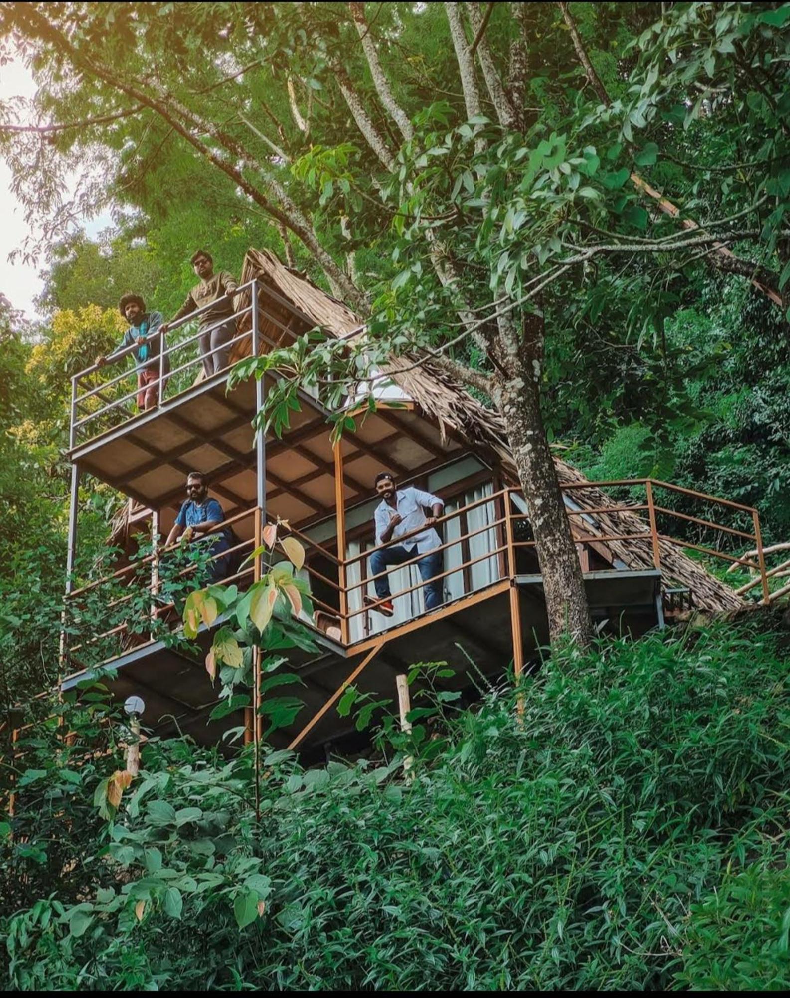 Sunset Valley Kerala Pool Resort - Serene Natural Forest Cottage Stay In Idukki With Sunrise & Sunset Panoramas, Natural Streams & Tranquil Summer Evenings Pīrmed Kültér fotó