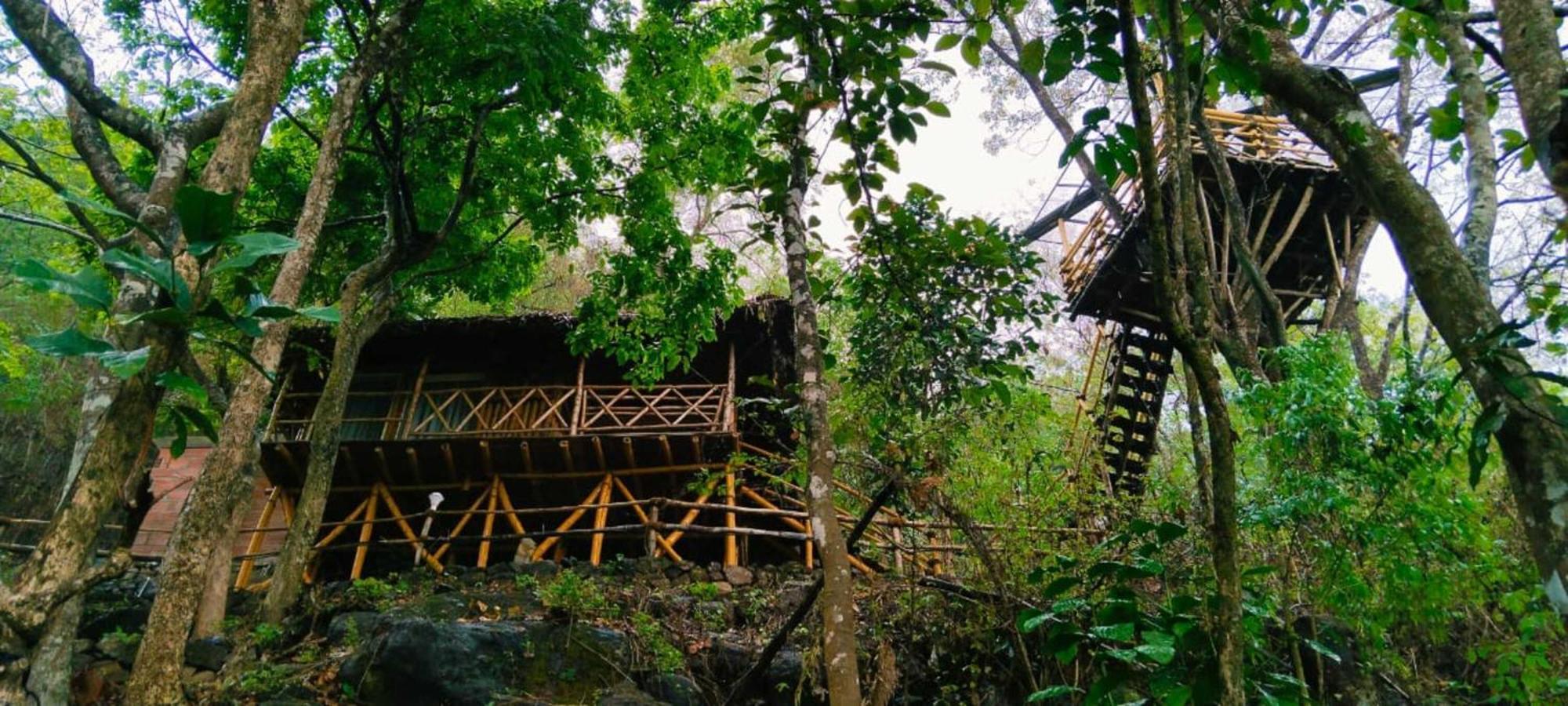Sunset Valley Kerala Pool Resort - Serene Natural Forest Cottage Stay In Idukki With Sunrise & Sunset Panoramas, Natural Streams & Tranquil Summer Evenings Pīrmed Kültér fotó